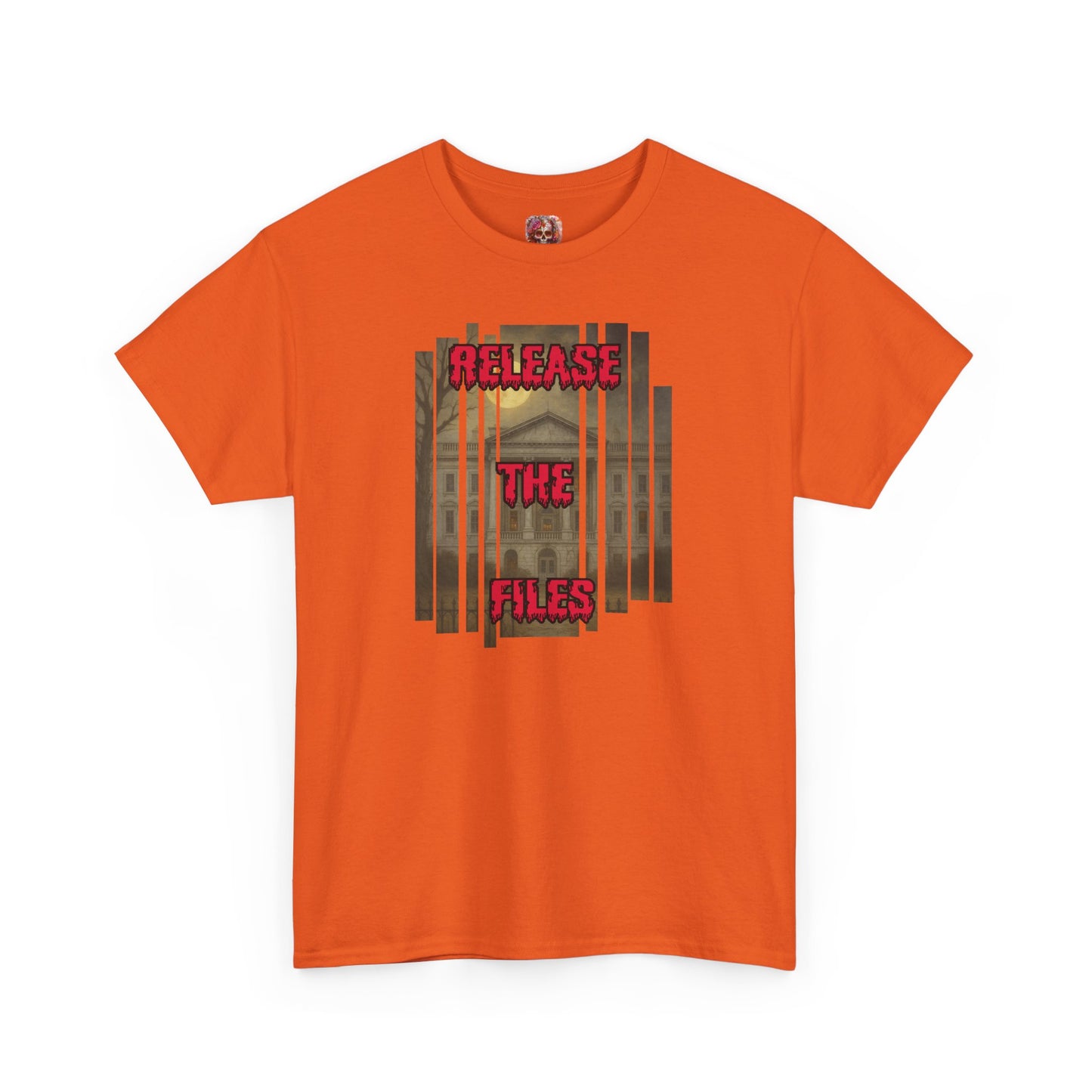Release the Files- Classified Secrets Tee